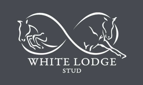 White Lodge Stud Hunter Hirelings
